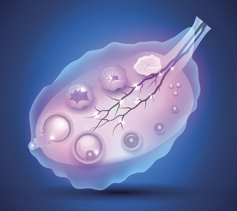2025年长春三代试管医院分别是哪几家？认准五家名单